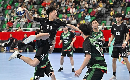 廣東男子handball隊和澳門男子handball在第十五屆全國運動會handball（男子）測試賽作賽。