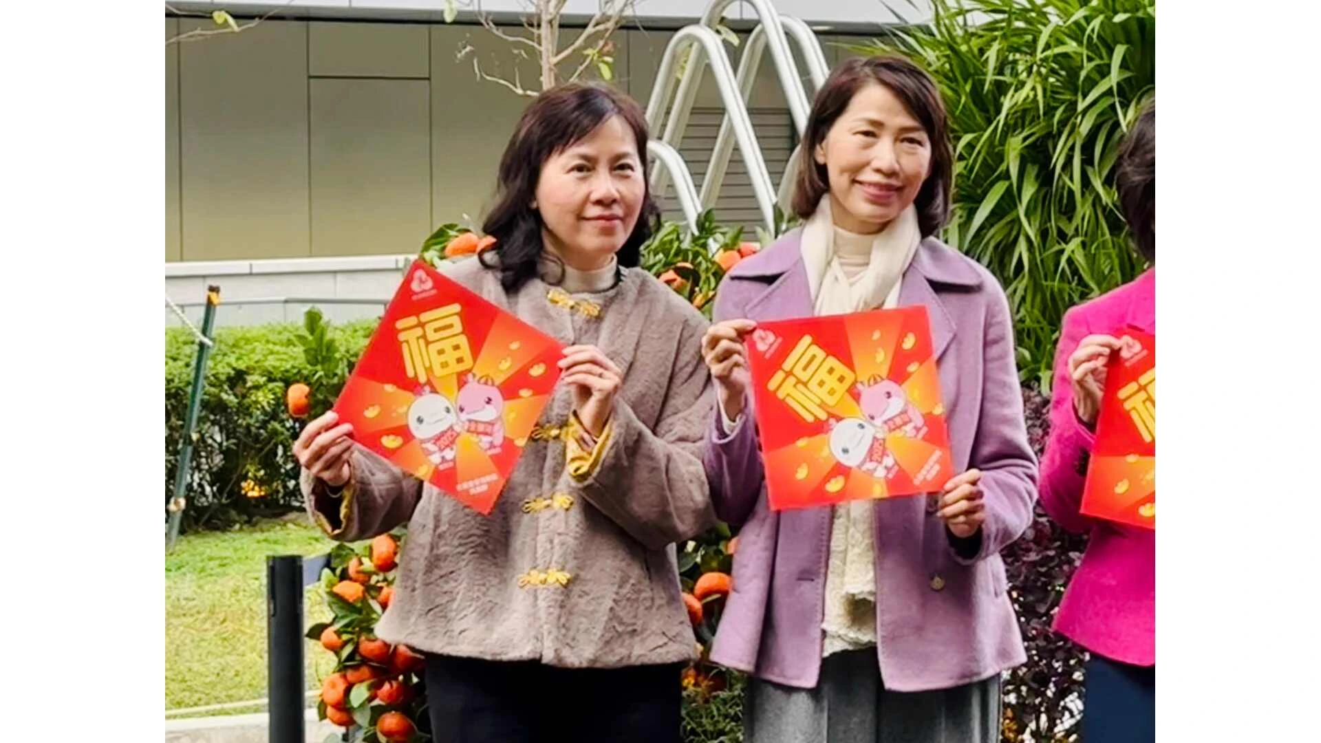 On the Seventh Day of the Lunar New Year, Sending Best Wishes to the 15th National Games Post Image