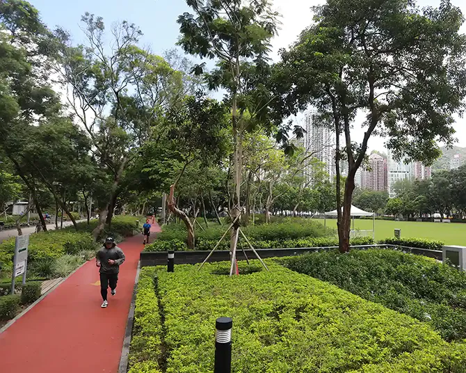 维多利亚公园 02