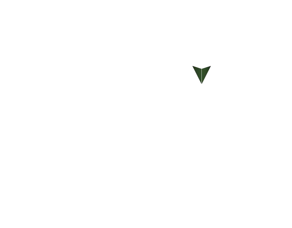 Pin 07