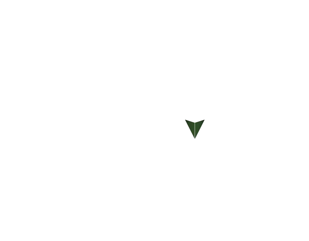 Pin 08