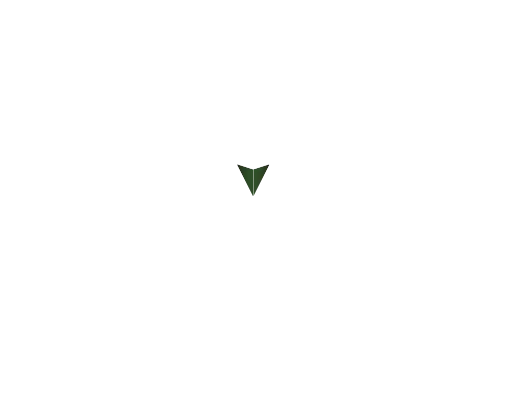 Pin 09